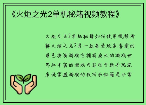 《火炬之光2单机秘籍视频教程》